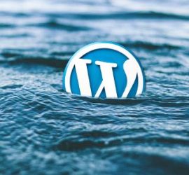 Wordpress CMS open source, seguridad, configuración y mantenimiento